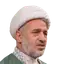 محمد میرزامحمدی