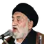 سید محمد کوثری