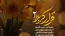 کاور پلی‌لیست مولودی (تصویری)